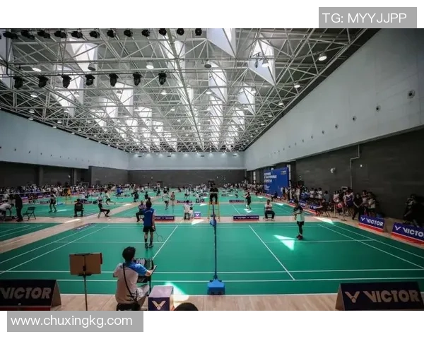 羽毛球巨献：探秘西安羽毛球队的心理素质