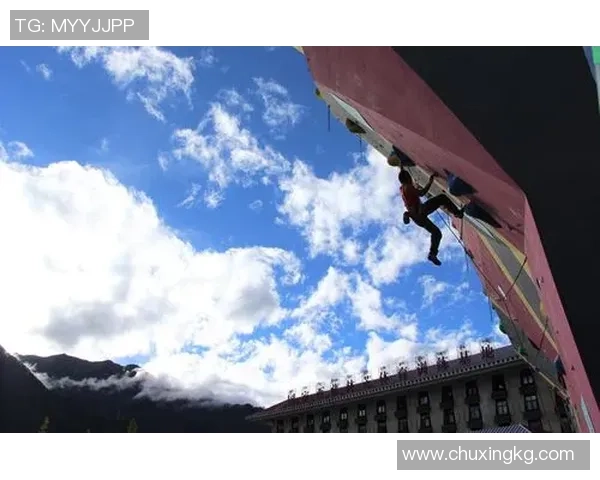 2026攀岩技术排行榜:武汉攀岩队位居第5名 2026攀岩技术排行榜:武汉攀岩队位居第5名