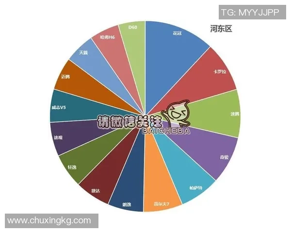 独家分析：成都攀岩队的团队协作对比